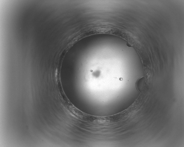 X0000069410745200605262208