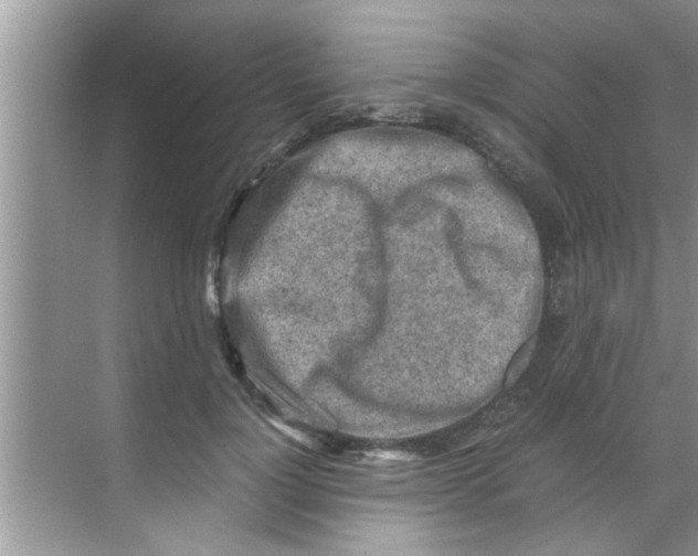 X0000069410748200605262208