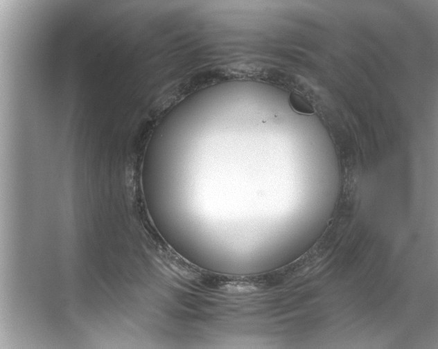 X0000069410749200605262208