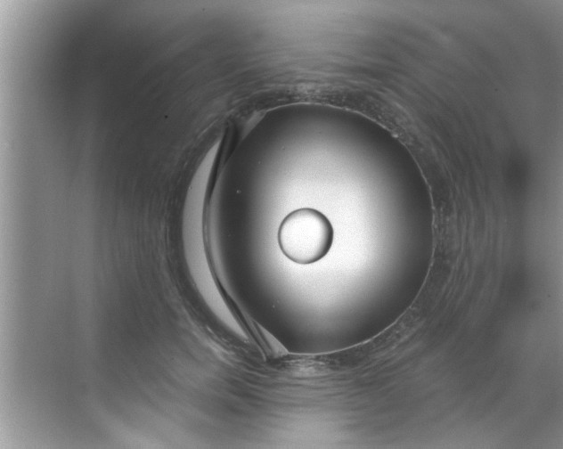 X0000069410750200605262208