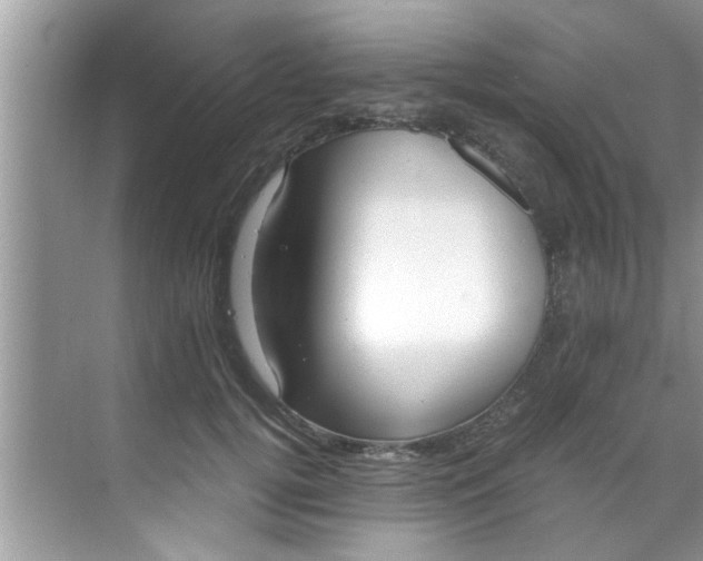 X0000069410752200605262208