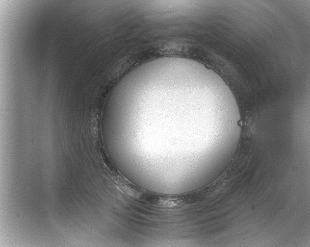 X0000069410753200605262208