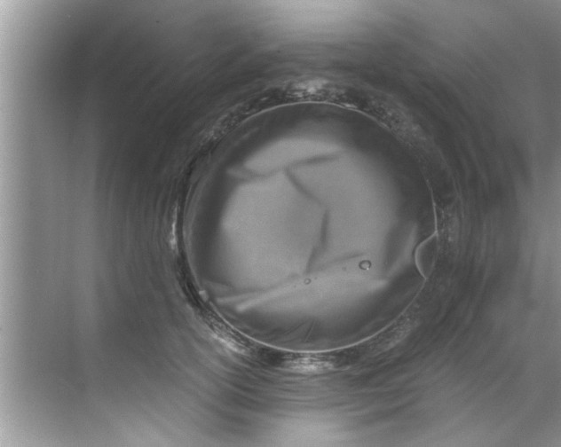 X0000069410754200605262209