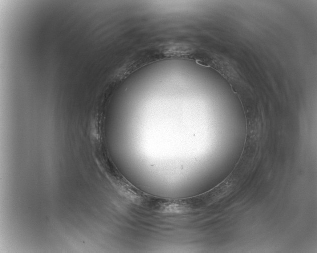 X0000069410755200605262209