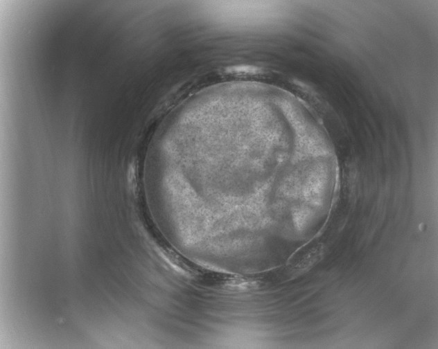 X0000069410760200605262209