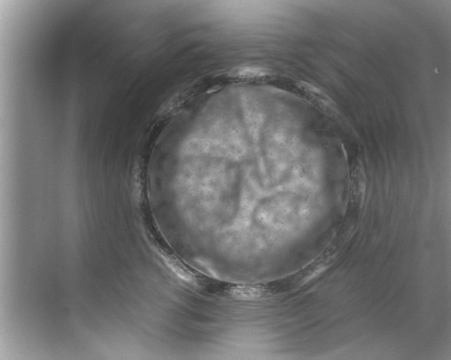 X0000069410762200605262209