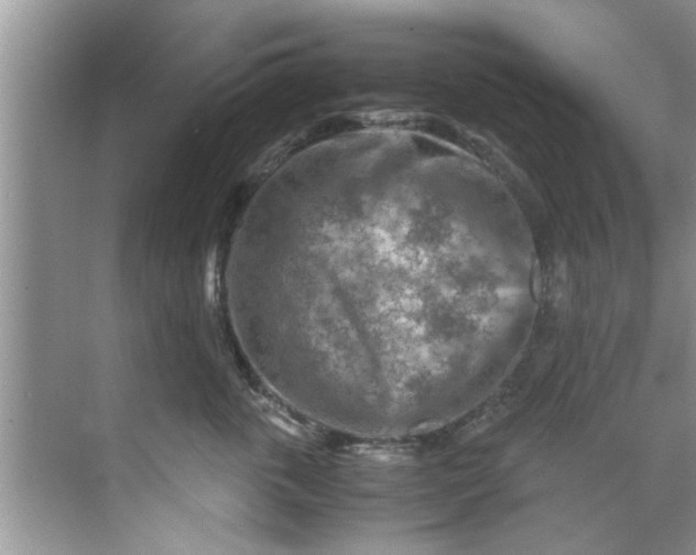 X0000069410763200605262209