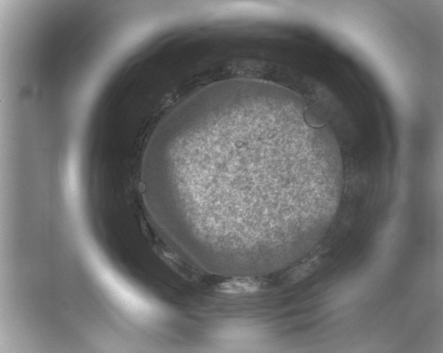 X0000069410765200605262209