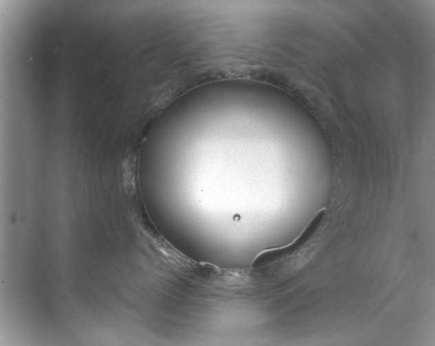 X0000069410768200605262209