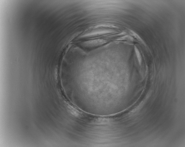 X0000069410777200605262208