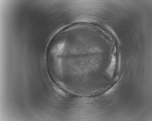 X0000069410779200605262208