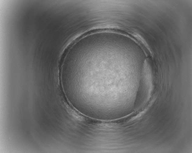 X0000069410781200605262208