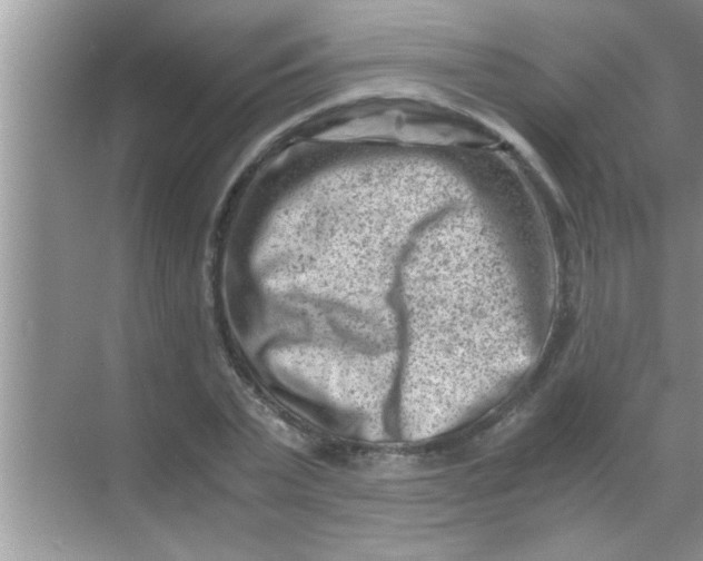 X0000069410783200605262208