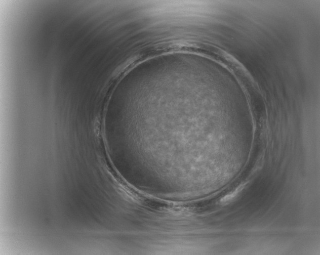 X0000069410785200605262208