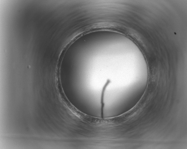 X0000069410786200605262208