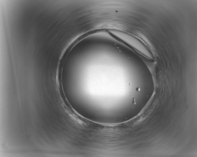 X0000069410788200605262208