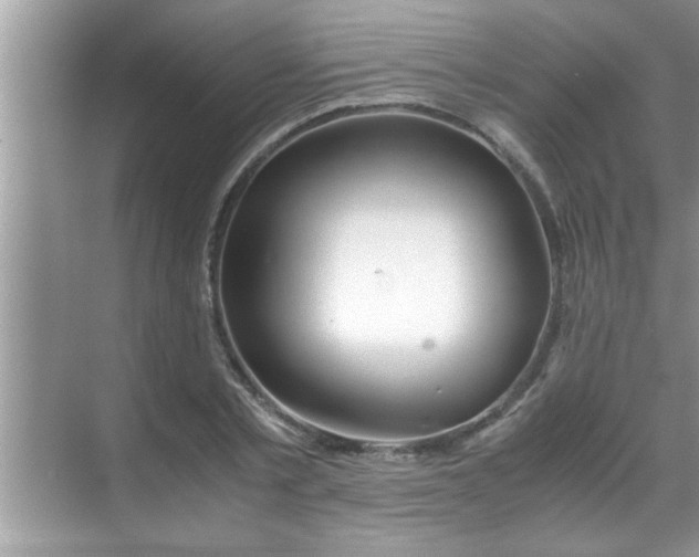 X0000069410789200605262208