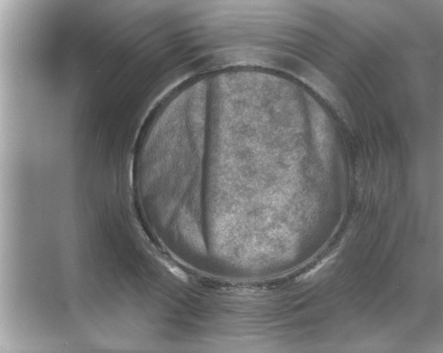 X0000069410790200605262208