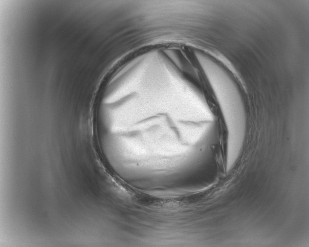 X0000069410791200605262208