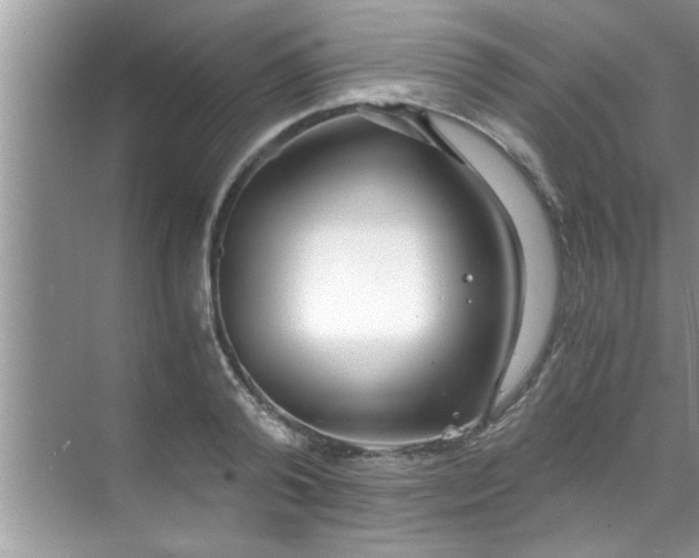 X0000069410792200605262208