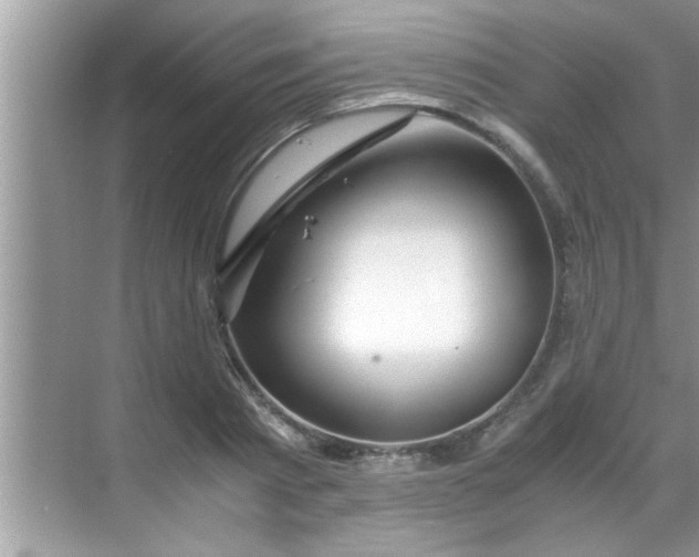 X0000069410793200605262208