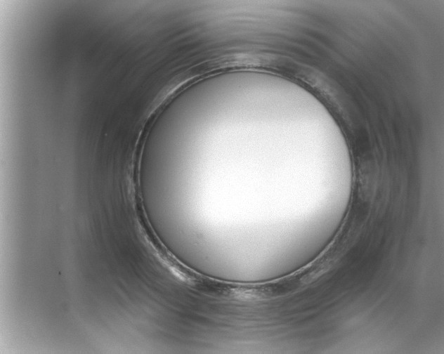 X0000069410794200605262208