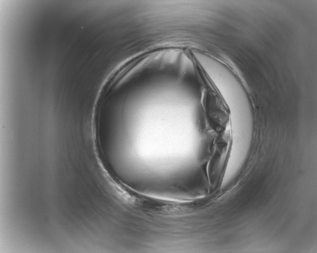 X0000069410795200605262208