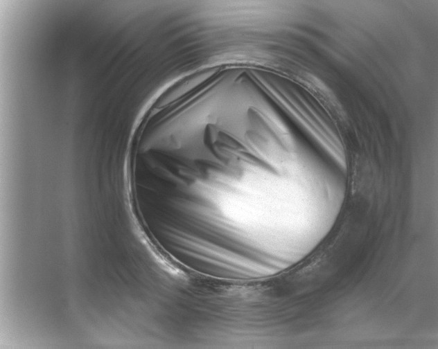 X0000069410796200605262207