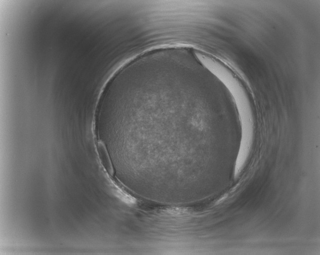 X0000069410797200605262207