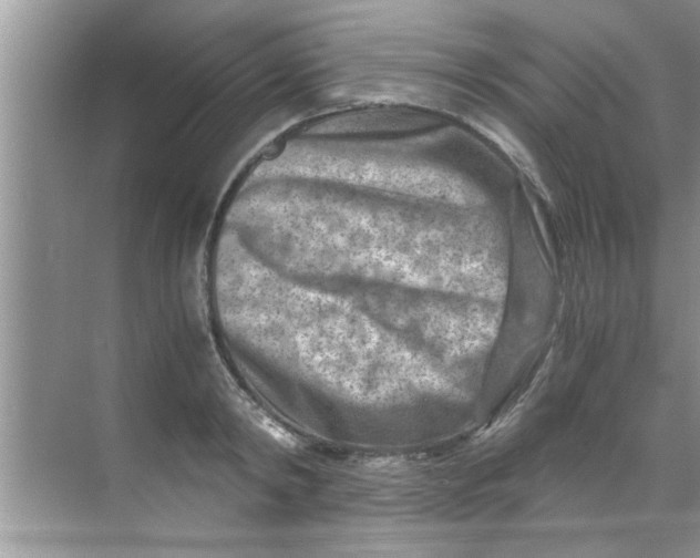 X0000069410798200605262207