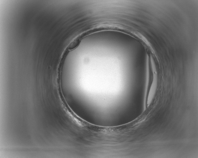 X0000069410799200605262207