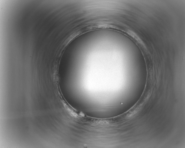 X0000069410801200605262207