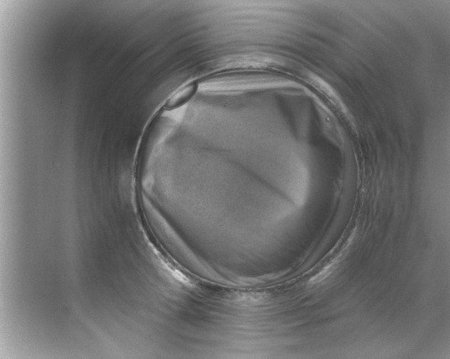 X0000069410802200605262207