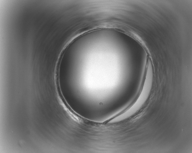 X0000069410803200605262207