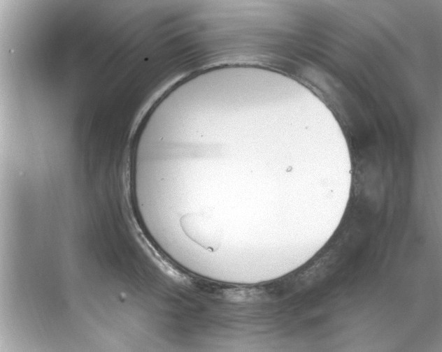 X0000069410804200605262207