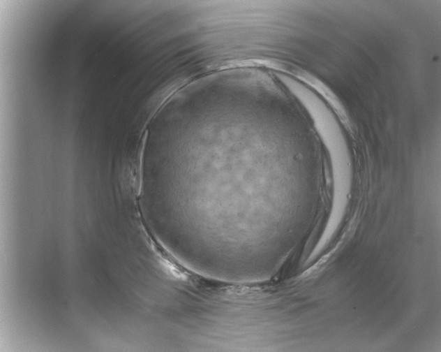 X0000069410809200605262207