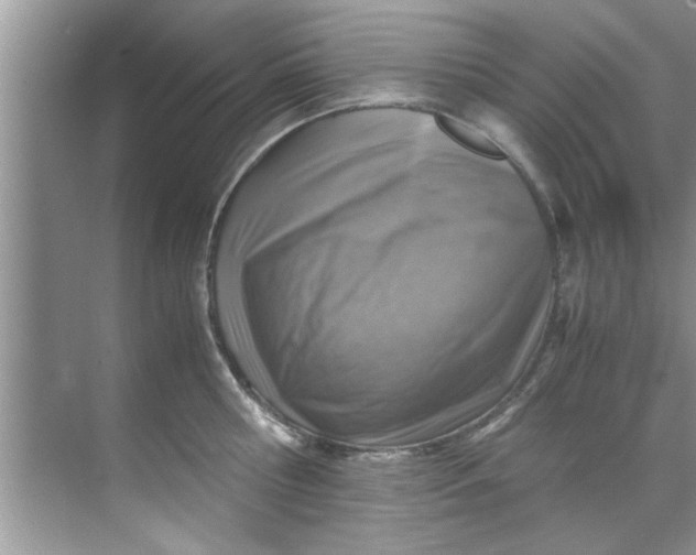 X0000069410810200605262207