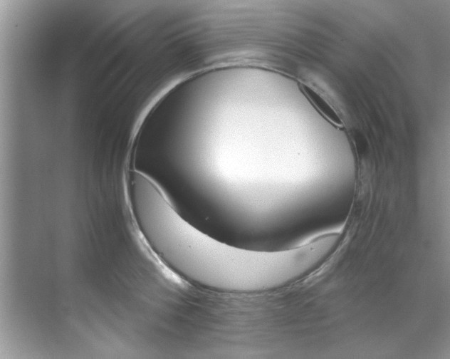 X0000069410812200605262207