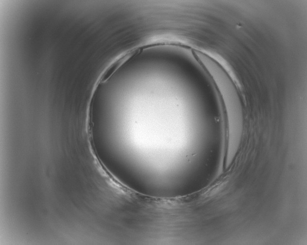 X0000069410815200605262207