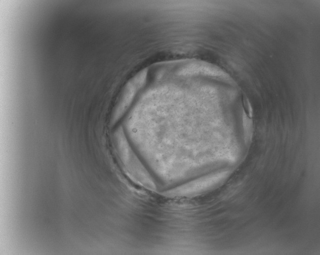 X0000069410817200605262206