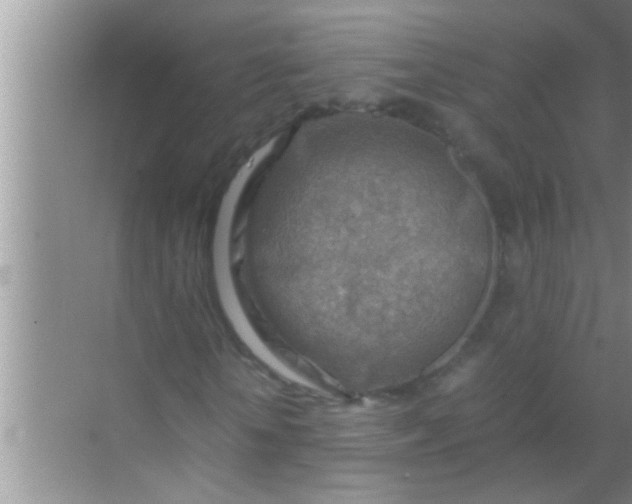 X0000069410818200605262206