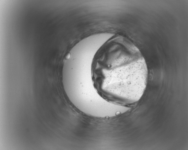 X0000069410820200605262206