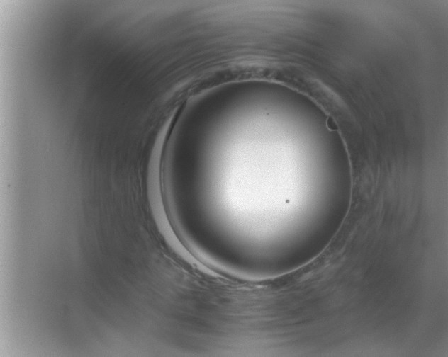 X0000069410821200605262206