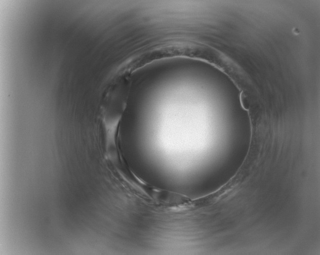 X0000069410822200605262206