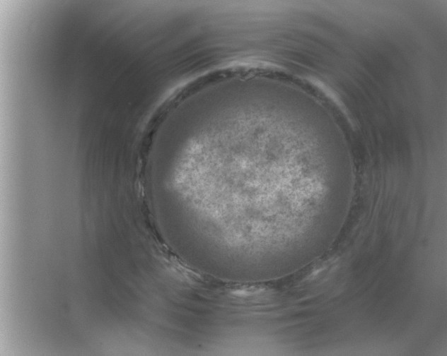 X0000069410823200605262206