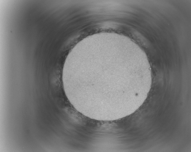 X0000069410824200605262206