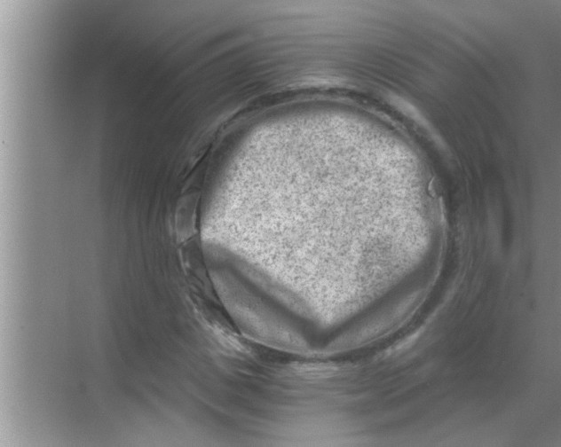 X0000069410825200605262206