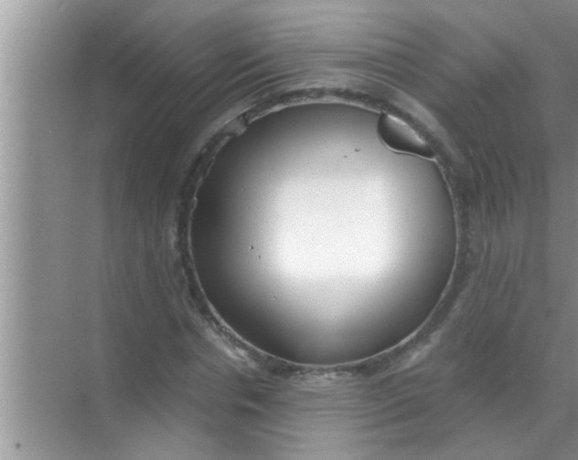 X0000069410826200605262206