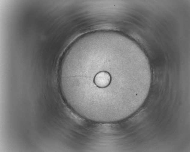 X0000069410828200605262207