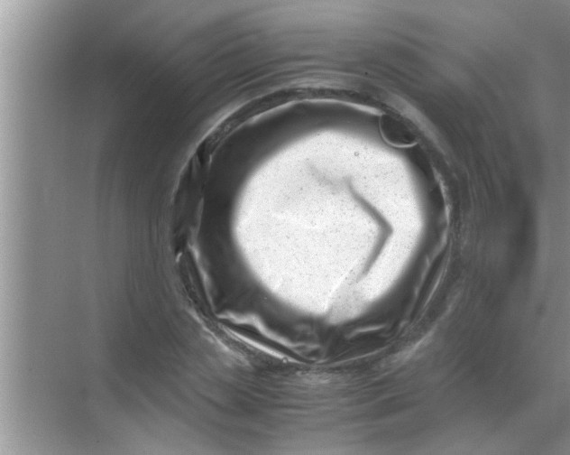 X0000069410829200605262207